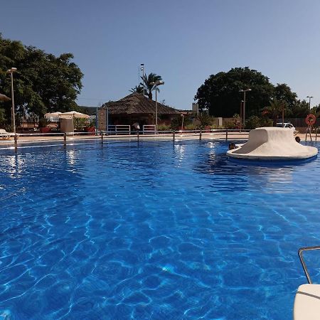 Sunny Place. Guardamar del Segura Exterior foto